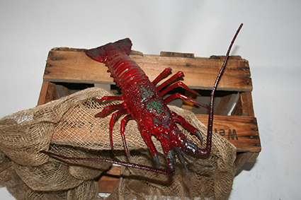 Riesengarnele, 30cm Kunststoff